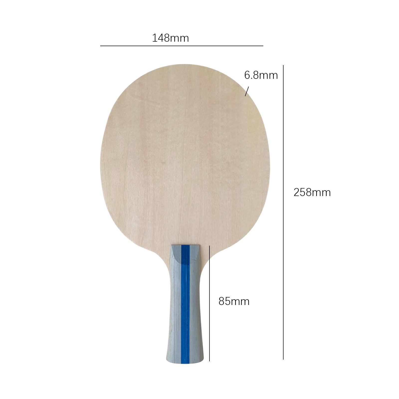 젊은 선수들을 위한 프리미엄 수제 탁구 블레이드 - 가 - Table Tennis Player 리뷰 및 가격